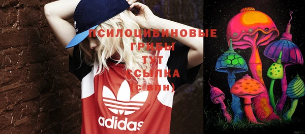 спиды Аркадак