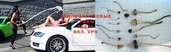 молекула духа Балабаново