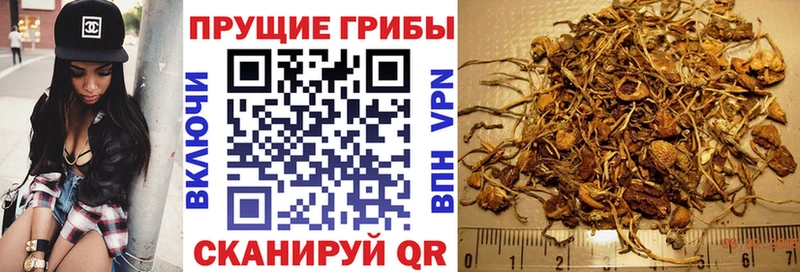 Галлюциногенные грибы MAGIC MUSHROOMS  Свирск 